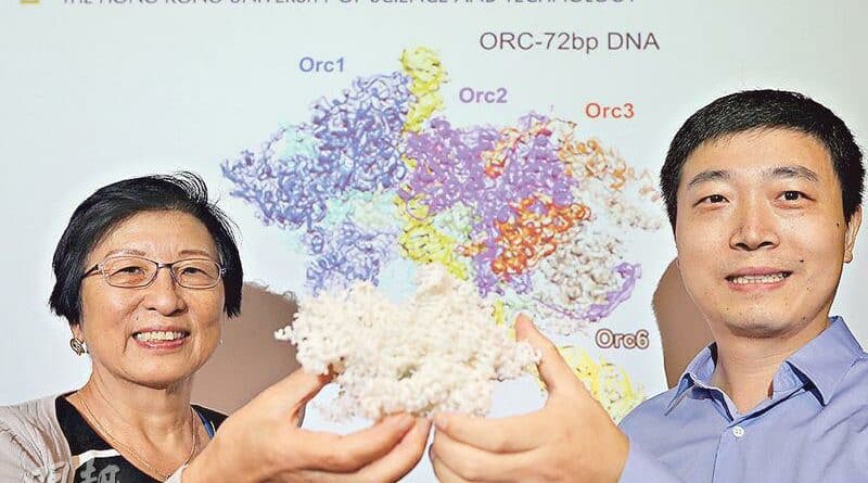 拆解DNA複製機器結構 科大學者：諾獎級發現