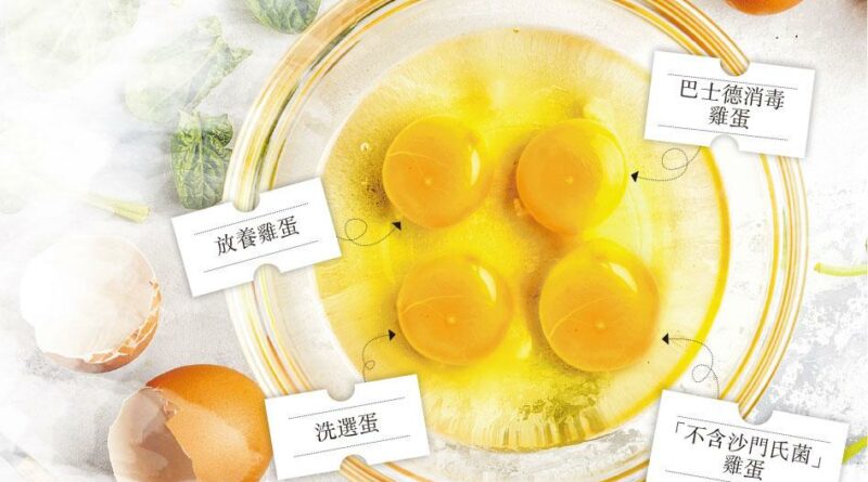 雞蛋,揀蛋,沙門氏菌,太陽蛋,巴士德消毒,嘉道理農場,香港高等教育科技學院,THEi