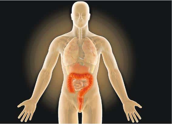 衛生處方：大腸癌篩查找出6.4%癌症