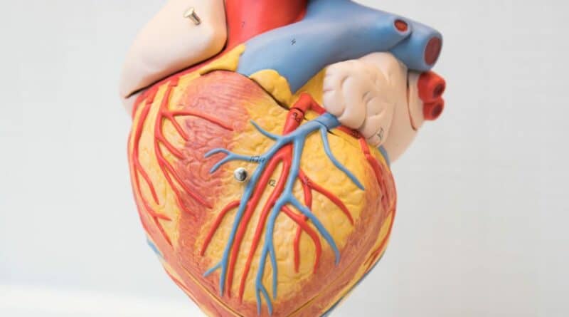 betway体彩
心臟導管介入資助計劃 支援4類結構性心臟病患者