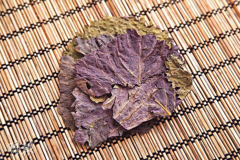 紫蘇葉（資料圖片）