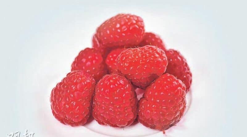 【營養要識】素得Smart：雙莓蒟蒻沙冰 消暑抗氧化